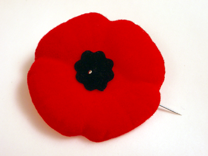 A red lapel poppy with a black centre