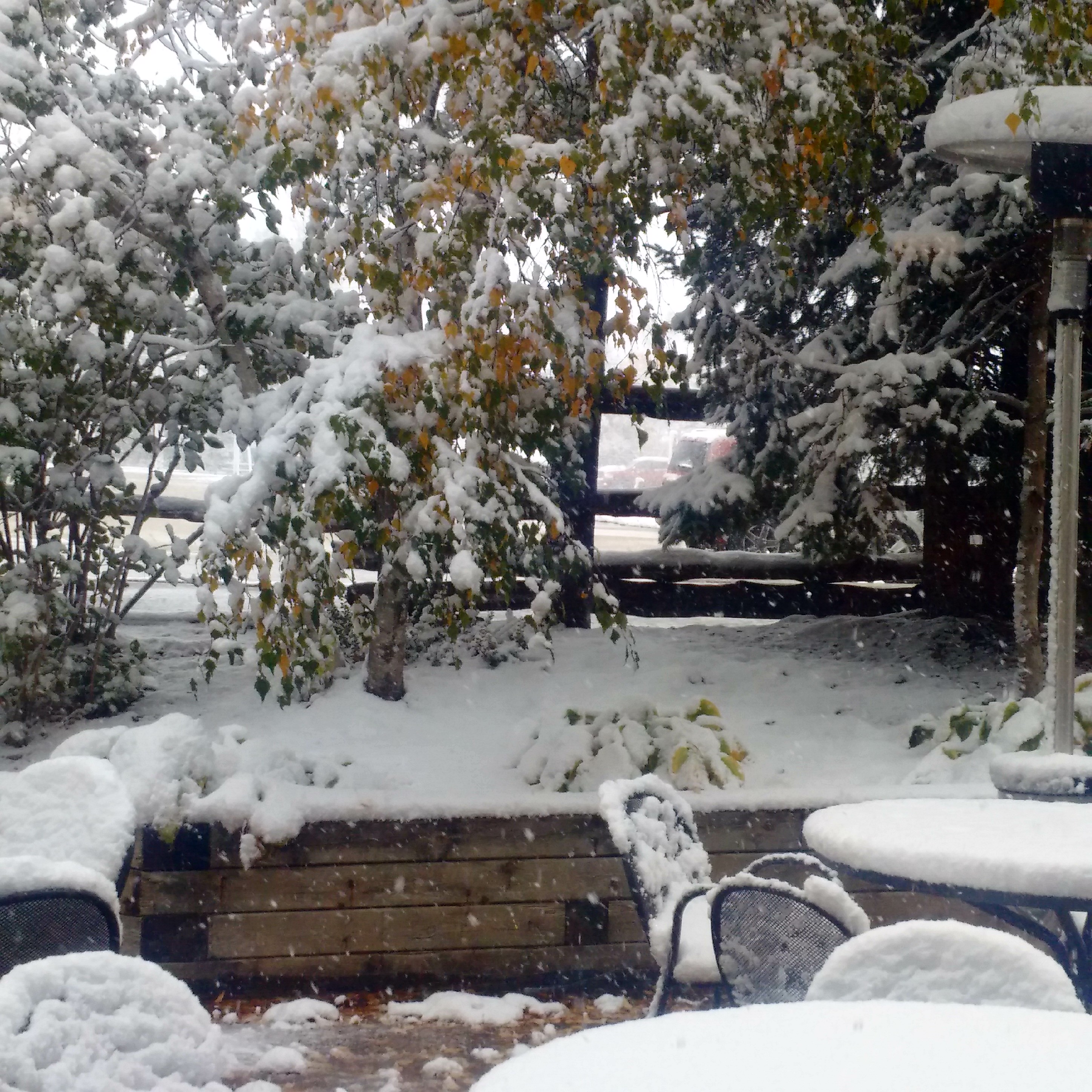A patio covered in thick, heavy snow while there are still leaves on the  trees beside it