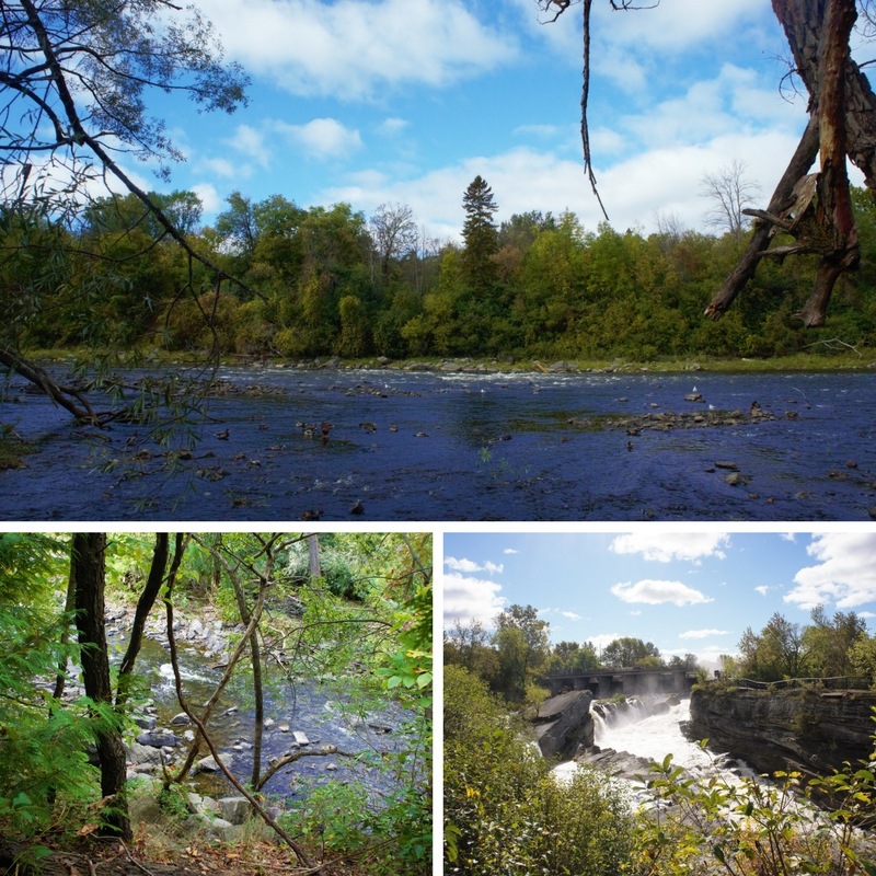 three photos of the river and trees 